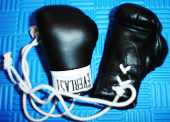 EMBG - Everlast Mini Boxing Gloves