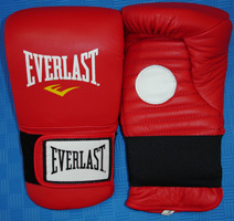 EVCPM - Everlast Coaches Sparring Mitts