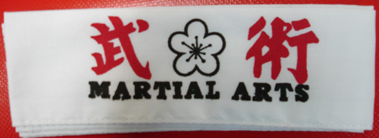 Head Band - 2