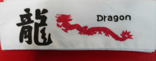 Head Band - 6
