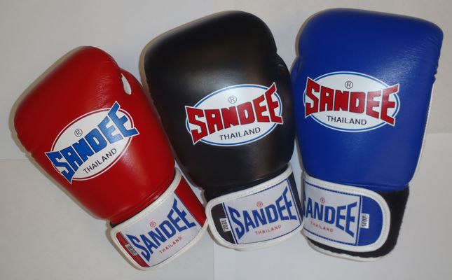 sandee 10oz gloves